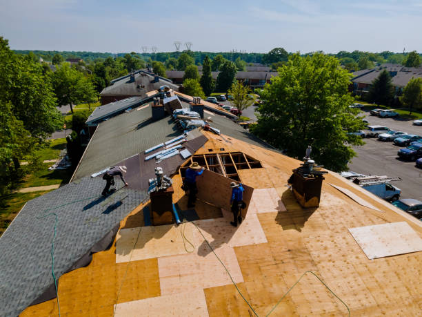 Best Metal Roofing Contractor  in Rush City, MN