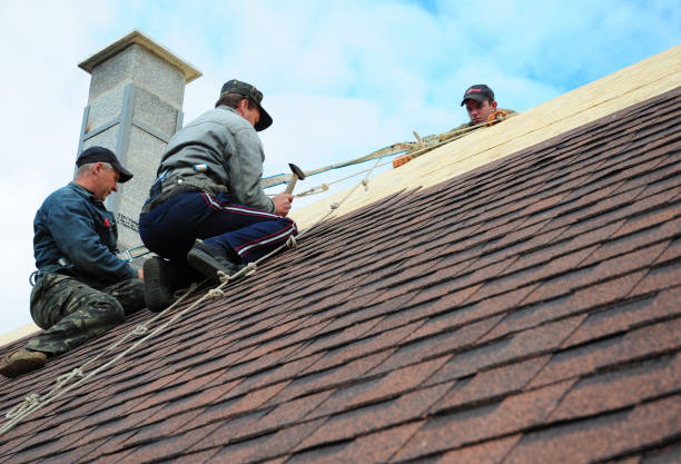 Best Local Roofing Companies  in Rush City, MN